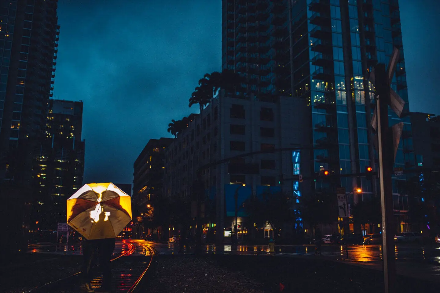 Tampa Wedding Photographer