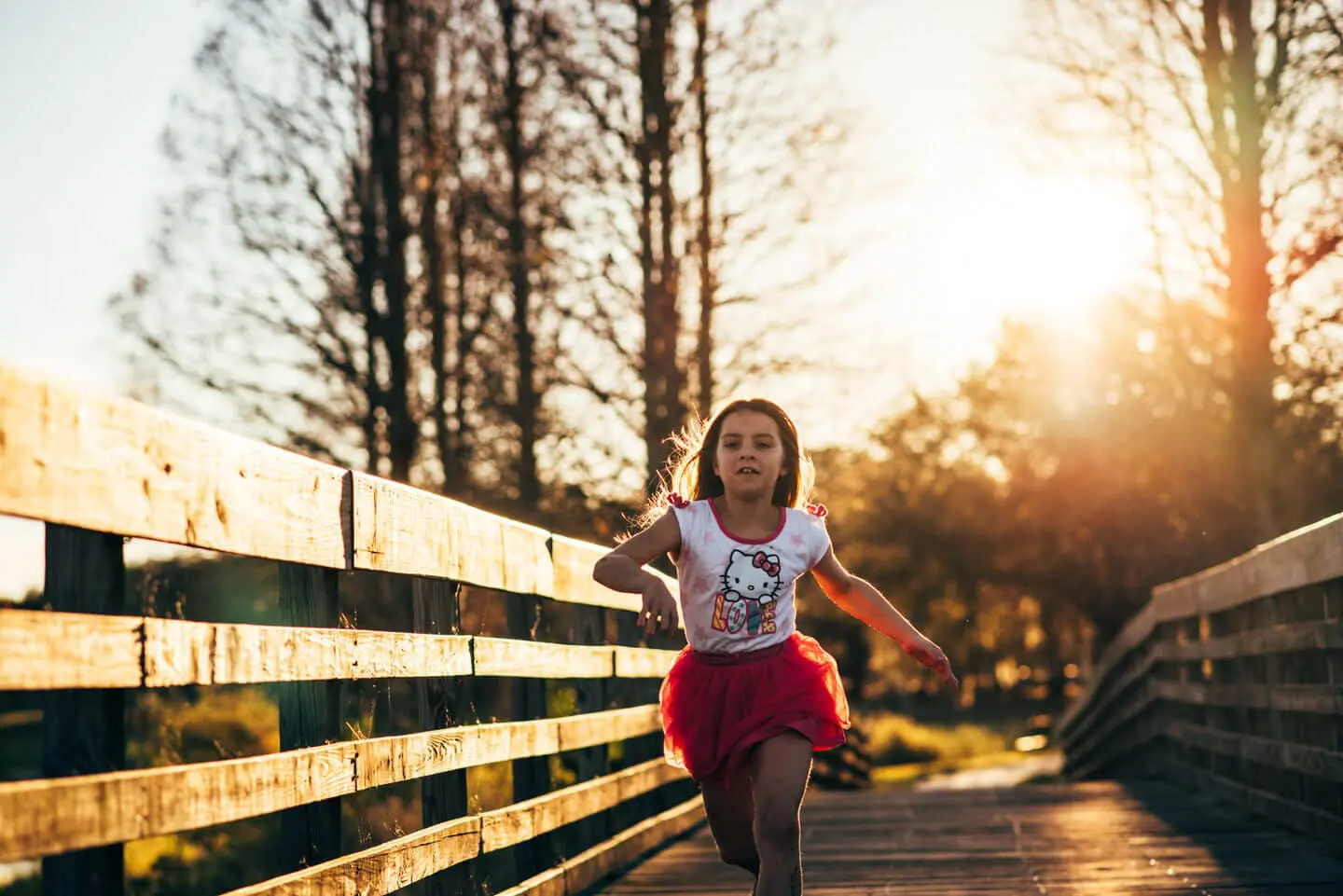 Tampa Wedding Photographer