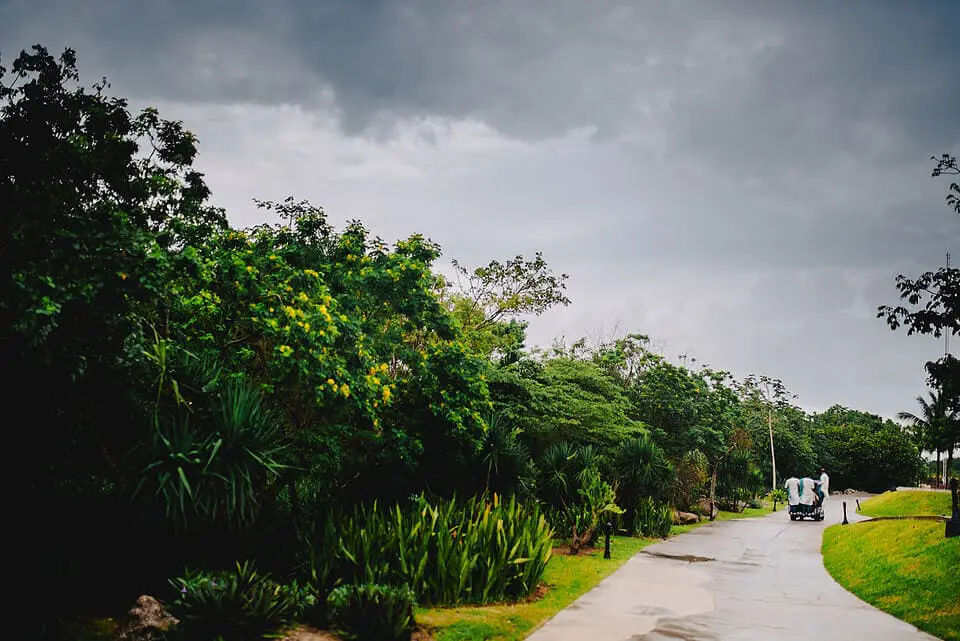 miami wedding photographer - desire + mike - indian wedding - mike rodriguez51