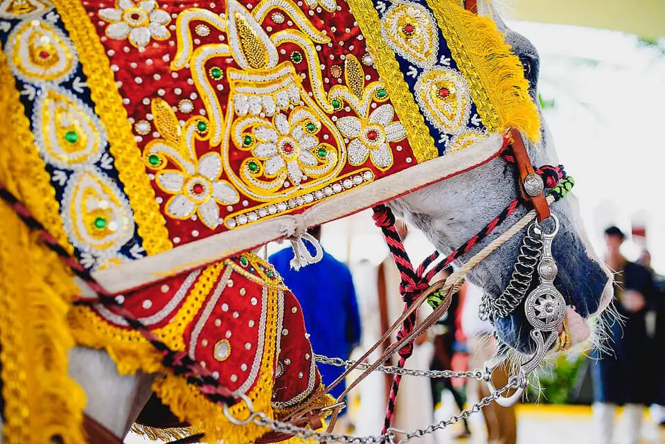 miami wedding photographer - desire + mike - indian wedding - mike rodriguez56