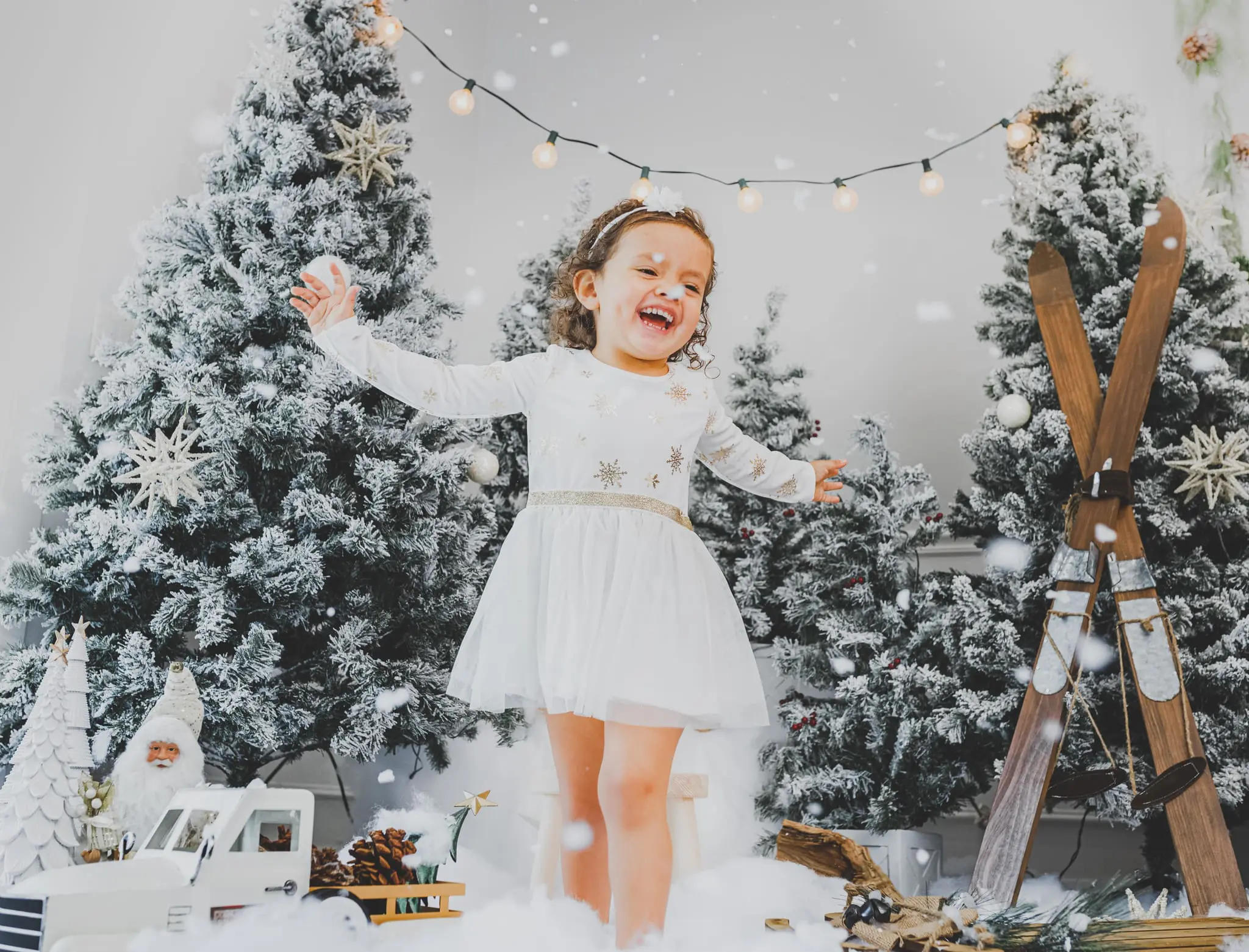 Tampa Holiday Mini Session
