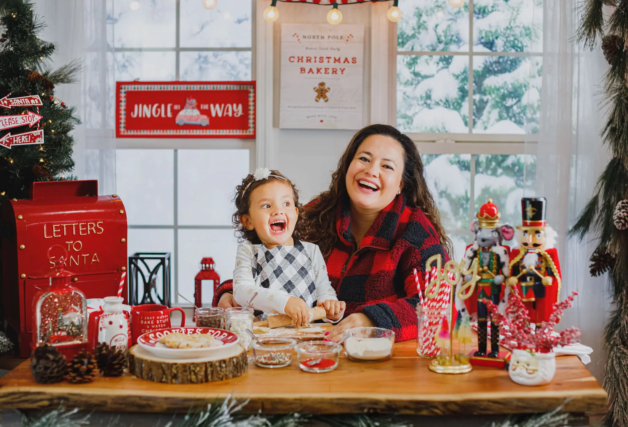 Tampa Holiday Mini Session