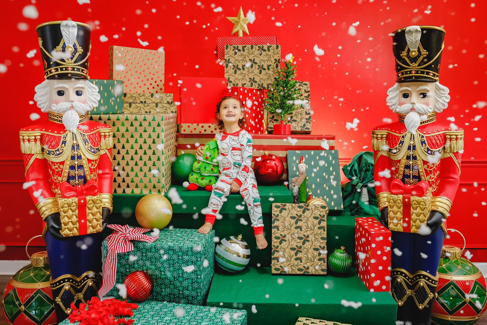 Tampa Holiday Mini Session